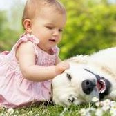 2026山东省青岛市助孕生子机构前十名单汇总(这份指南请收好)