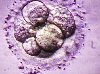 2026兰州助孕公司排名最新出炉：这四家技术好成功率又高