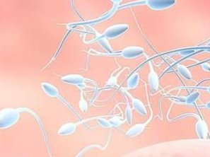 2026口碑榜单揭晓：武汉助孕行业佼佼者，这三家机构领跑武汉！